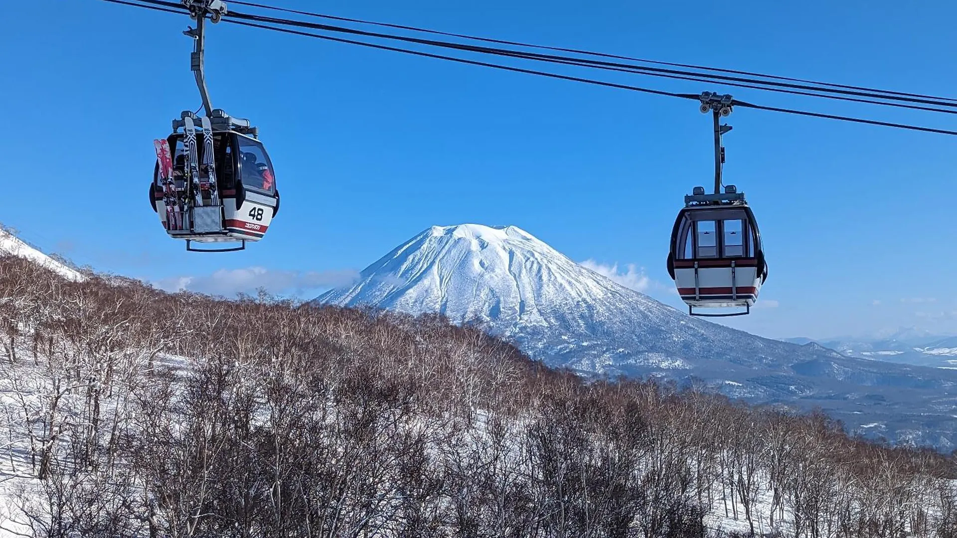 民宿 Tr Niseko House Room Jungle